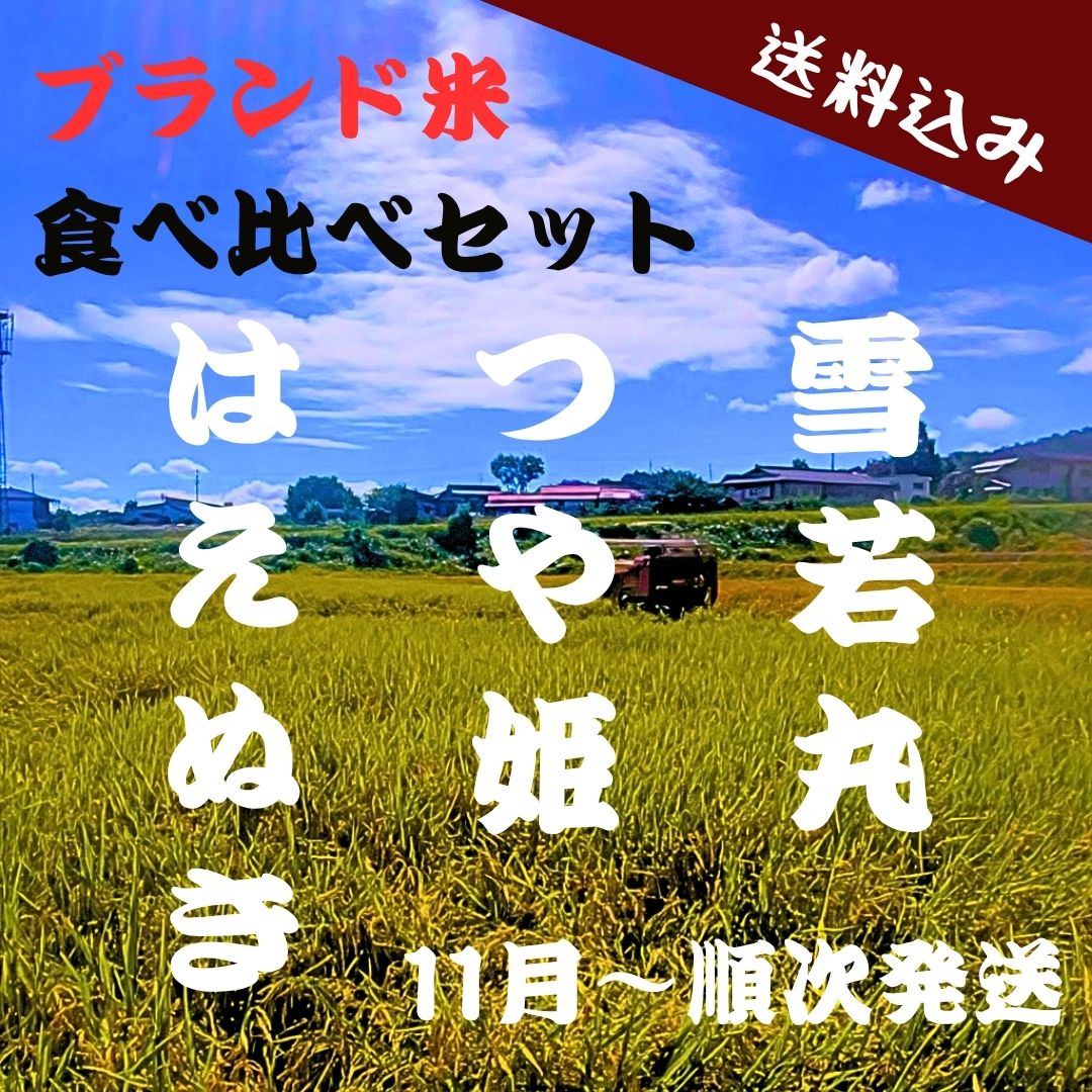 食べ比べセット