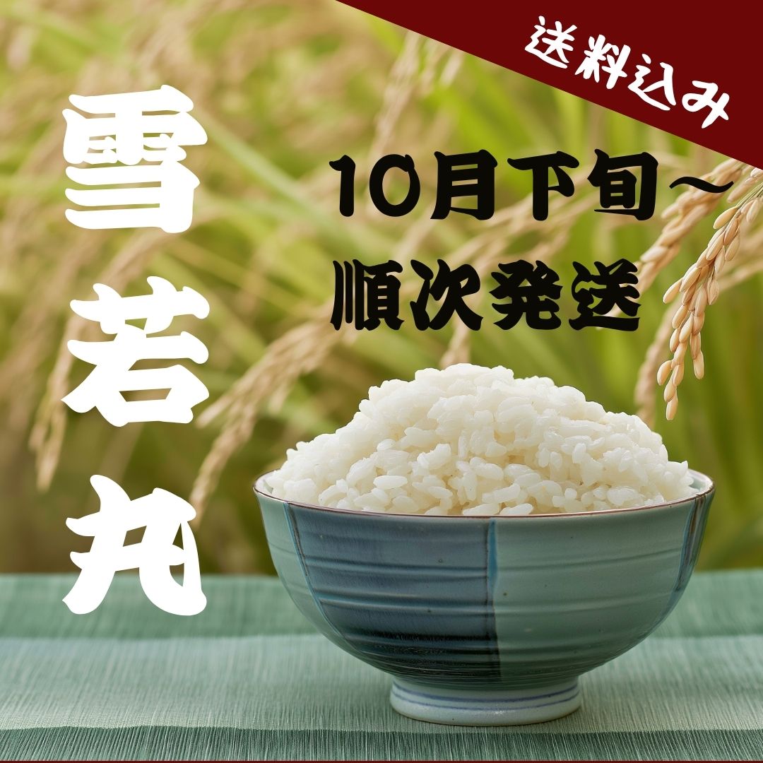 雪若丸